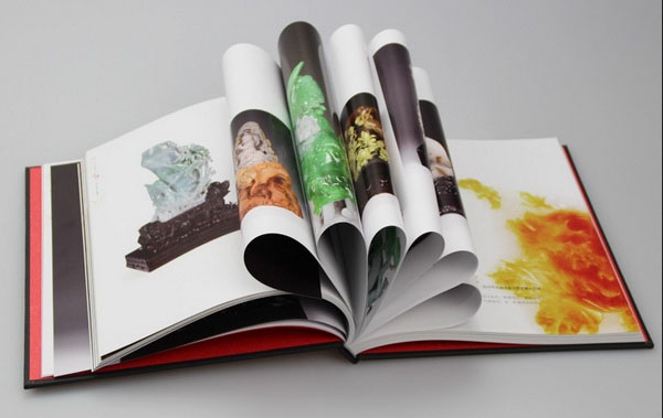 Choose high-quality voltage protectors